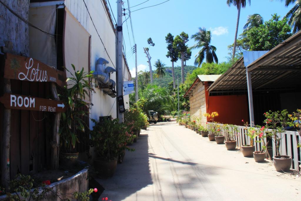 Hotel Lotus Mountain View Ko Tao Zewnętrze zdjęcie